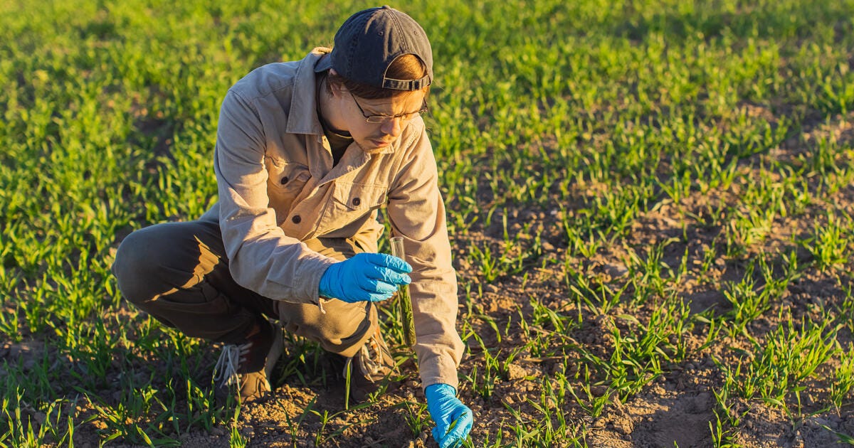 Agronomist takes soil samples from field.