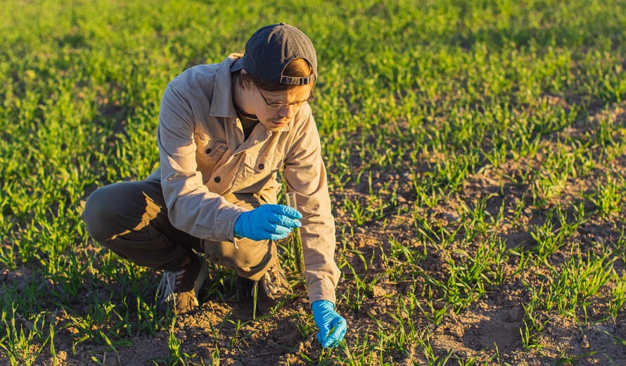 Agronomist takes soil samples from field.